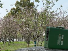 -阳澄湖半岛旅游度假区
