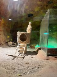 -酷嗒动物文化乐园(cutezoo西溪乐天城店)