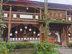 -青城甲(青城山店)