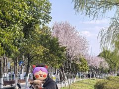 -羊山湖公园