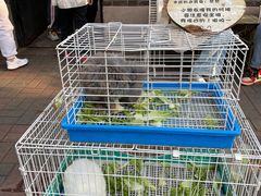 -大象厨房(重庆道店)