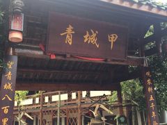 门面-青城甲(青城山店)