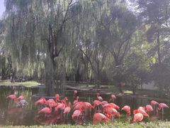 -石家庄市动物园