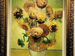 -成都泰迪熊博物馆