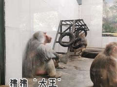 -西安秦岭野生动物园