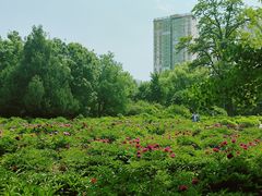 -迎泽公园