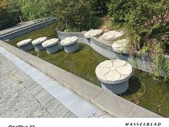 -雨花胜境