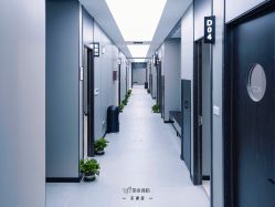 -单色舞蹈