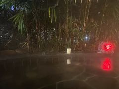 -明月山天沐温泉度假村