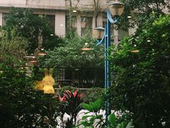 -咖法森林·咖啡  酒吧(天河店)