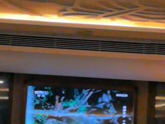 -浅深Cheersum(曹杨店)
