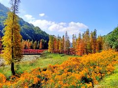 -广州市石门国家森林公园
