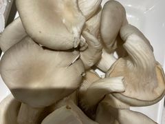 -古乐牛香·鲜牛肉牛杂火锅(新区店)