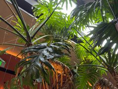 -初蓉丨遇见新川菜(亲贤街荣耀店)
