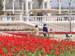 -朝阳公园