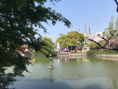-嘉定紫藤园
