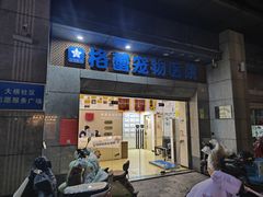 -格蕾宠物医院24H·猫科·肿瘤科·骨科中心(福州总院)
