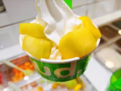 -Salud撒露欧洲冻酸奶(蓝色港湾店)