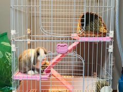 -达爱动物医院·犬猫分区·CT·复杂眼科(远洋山水分院)