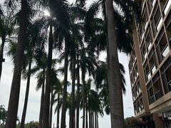 -三亚亚龙湾红树林度假酒店