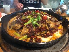 老板恋上鱼-老板恋上鱼(高新万达店)