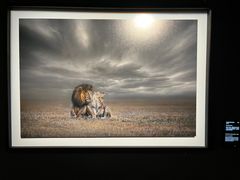 -罗红摄影艺术馆