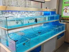 水产区-笨笨甲甲鱼坊(蓝堡湾店)
