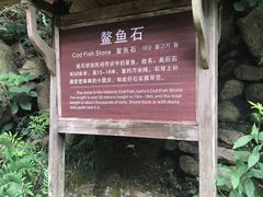 -浙西大龙湾