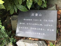 -汇龙潭