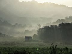 -威海大乳山景区
