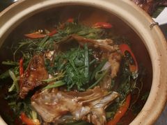 啫鱼头-广东道至正餐厅(区庄店)