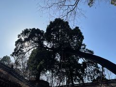 -少华山国家森林公园