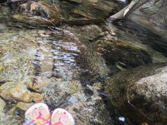 -祁门牯牛降观音堂风景区