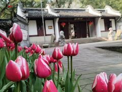 -宁波市保国寺古建筑博物馆