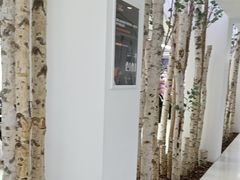 -极简口腔(总院)