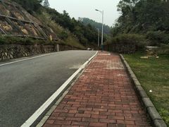 -火炉山森林公园