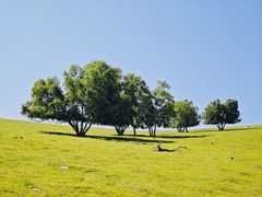 -克什克腾世界地质公园青山景区