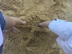 三亚湾红树林度假世界-三亚湾红树林度假世界(木棉酒店)