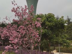 -狐尾山公园