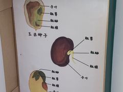 -中国农业博物馆