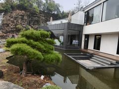 -雅苑中餐厅