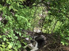 -北京西山国家森林公园