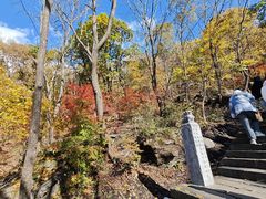 -五女峰国家森林公园