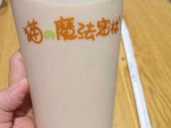 -猫的魔法密林(衣裳街店)