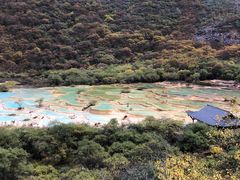 -黄龙山原始森林景区