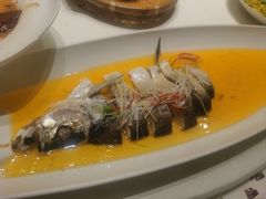 -梅花香里大酒店(郁金香路店)