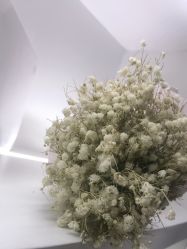 -OAE日式皮肤管理お肌の