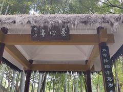 -西湖风景区十里琅珰-五云山