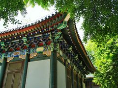 -国家图书馆·古籍馆