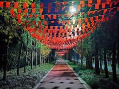 -上海长兴岛郊野公园